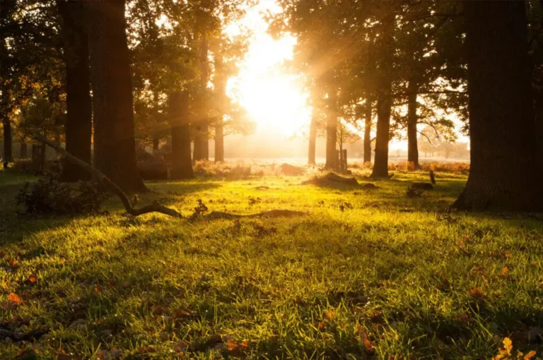 How to Have Compassionate Conversations About Dying